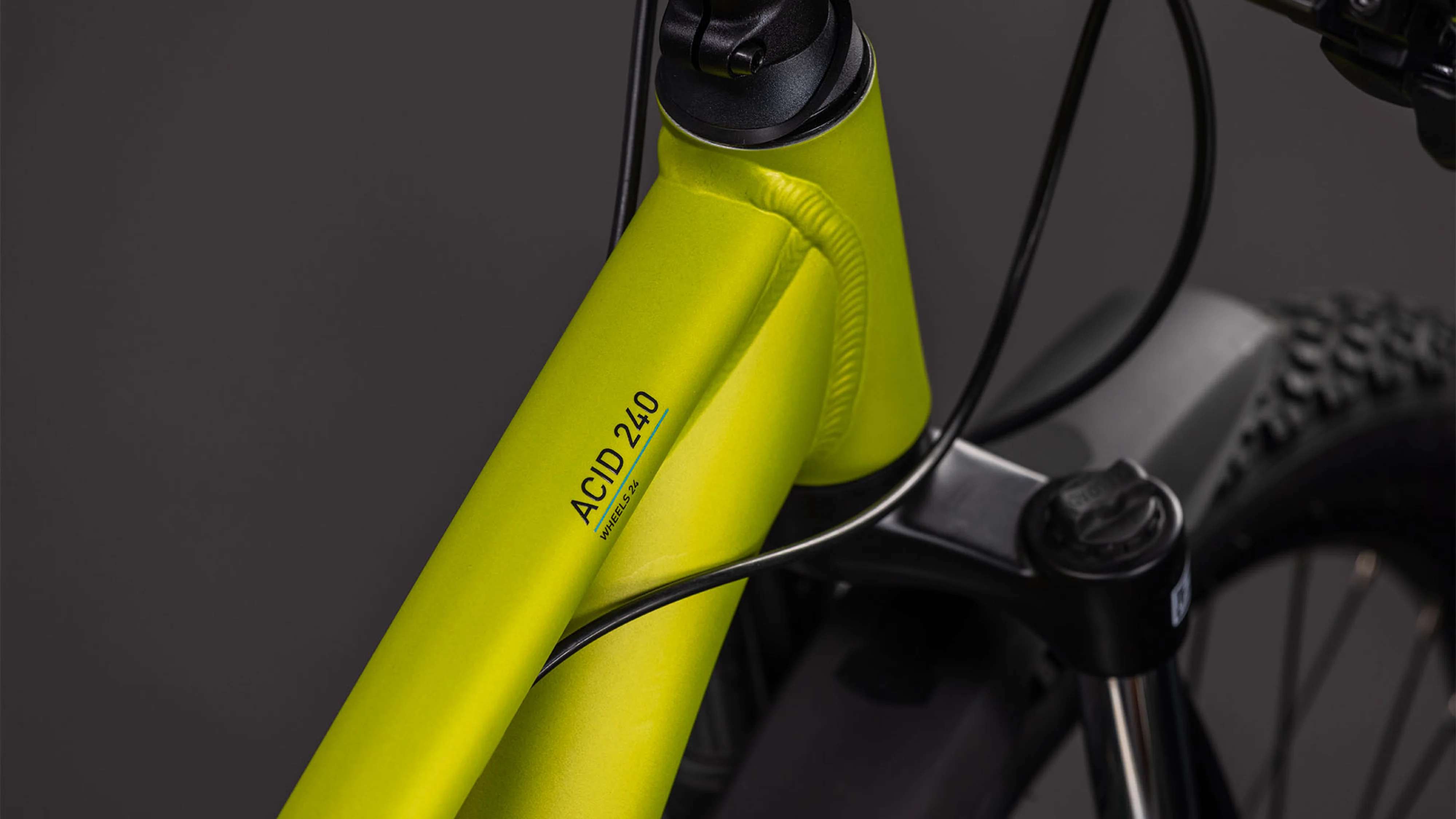 Cube Acid 240 Disc FE lizard´n´blue (2026) - Image 2